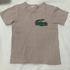 ワークワーク　なんちゃってラコステTシャツ Sサイズ　約145サイズ
