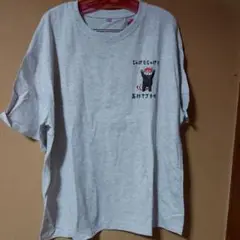 夏物大きめあらいぐま両面プリントTシャツ