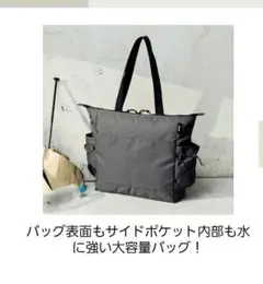 MonoMax 9月号付録 Tevaトートバッグ