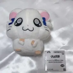 とっとこハム太郎 りぼんちゃん ぬいぐるみ プライズ