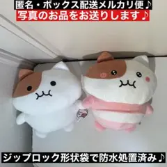 2種コンプ！　もちにゃみ BIGぬいぐるみ