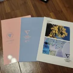 SEVENTEEN　CaratMagazine　10.11.12まとめ売り