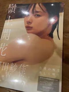 【未開封】岡田紗佳 写真集『嶺上開花』NFTデジタル特典付き