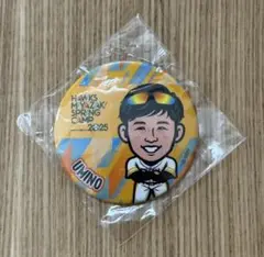62海野隆司選手　若鷹ガチャ　宮崎春季キャンプ　缶バッジ