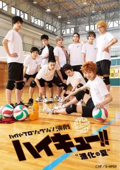【DVD】ハイパープロジェクション演劇「ハイキュー!!」“進化の夏”