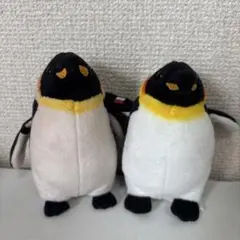 名古屋港水族館　限定　ペンギン　ぬいぐるみキーホルダー