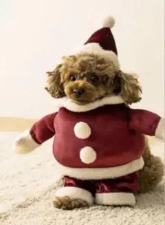 Item thumbnail for item fe3b9458-0781-42a1-b50c-8519a2ac88be