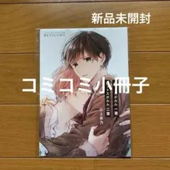 コミコミ小冊子　ピットスポルム　一葉　二葉　三上志乃