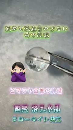 ③極希少 西藏山南地区洛扎県/チベットロダク産 ヒマラヤ山脈神域水晶クローライト