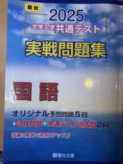 駿台 2025 大学入学共通テスト 国語 実戦問題集