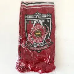【新品・未開封】浦和レッズ　優勝記念ニットマフラー　2017年　ACL