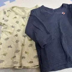 Item thumbnail for item 453ef78d-b044-43c8-bfed-40029fae16b6