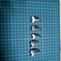 熊の爪