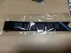 千葉ロッテマリーンズ　石川慎吾　ボンフィンキーホルダー