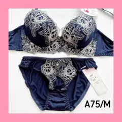 【♡/ラス1/sale】J5092NV A75/M ブラショーツセット