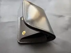 カーサ　CASA シェルコードバン　ワイルドスワンズ　ラストクロップス