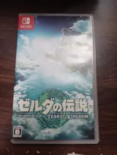 ゼルダの伝説 TEARS OF THE KINGDOM
