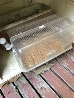 ハムスター用飼育ケージ給水器付き