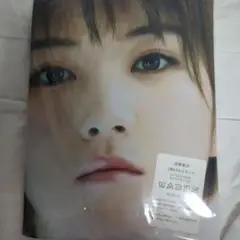 岡田奈々　元AKB48 両面抱き枕カバー160cm×50cm 新品未使用