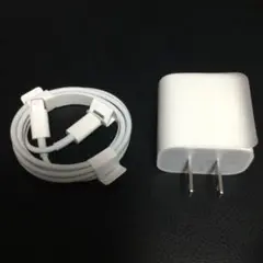 iPhone 純正 18w アダプター C typeケーブル アップル