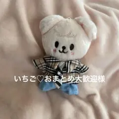 straykids skzoo ぬい服　puppym