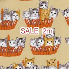 ラスト2点 SALE 2m かご猫 ベージュ オックス