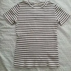 branshesストライプリブ Tシャツ