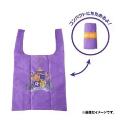Item thumbnail for item 698b62f4-920c-44ca-8ae5-d72b6f4c07fb