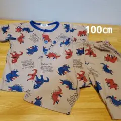 ブリーズ こども用パジャマ 100㎝