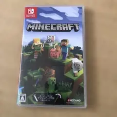 Minecraft Nintendo Switch版