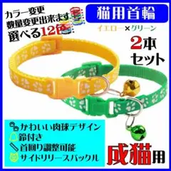 Item thumbnail for item 7a571844-efd2-44d1-b5ad-af43dba08696