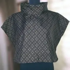 Item thumbnail for item 76a1d343-e303-4938-b950-5a1491f3498e