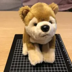 柴犬　ぬいぐるみ　REGALO レガロ　リアルドッグコレクション