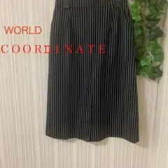 WORLD COORDINATE ストライプ タイトスカート 黒と白