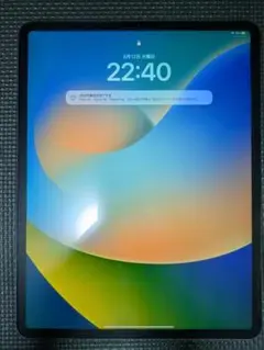 iPad pro 12.9インチ 第3世代 256GB Cellular　AU