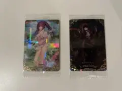 fgo ウエハース スカサハ 駒姫