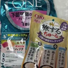 Item thumbnail for item e3725ad5-92a0-4c38-bb7b-09e720de7fda