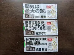 広島 カープ サントリー 烏龍茶 2019 名言 ボトル ラベル 3種