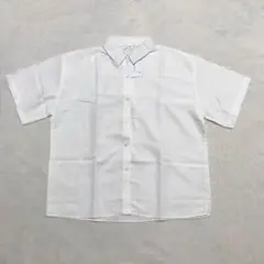 シャツ 夏 ホワイト M 半袖 白