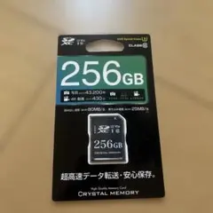 256GB UHS Speed Class U1 メモリーカード