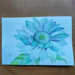 涼しげなヒマワリ（水彩画）（原画）
