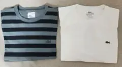 美品 ラコステ Tシャツ サイズ 5 ストライプ & 白 2枚セット