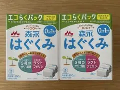 【２箱】森永 はぐくみ エコらくパック 詰め替え用