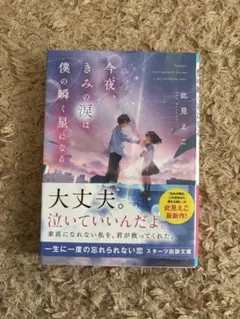 今夜、きみの涙は僕の瞬く星になる
