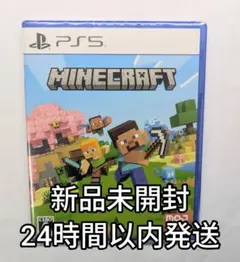 【即日発送】新品未開封 PS5 マインクラフト Minecraft