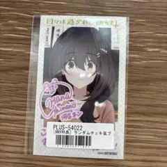 日々は過ぎれど飯うまし レトルトカレー 特典 河合まこ