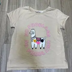 H&M ラマ Tシャツ 122/128