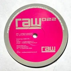 Guy McAffer & Lenny Dee RAW 022 レコード テクノ