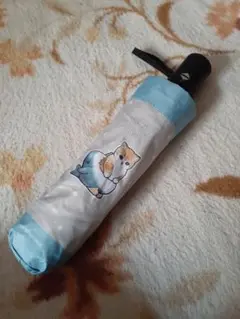 Item thumbnail for item 9162328c-a016-4b08-9706-9f6d890de99d