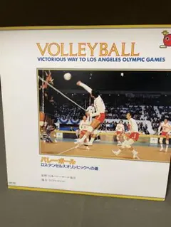 バレーボール ロサンゼルスオリンピックへの道